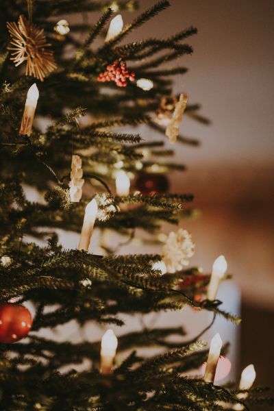 NÄCHTLICHES  WEIHNACHTSLOB