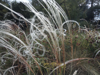 Dokumentarfilm Bahnhof der Schmetterlinge